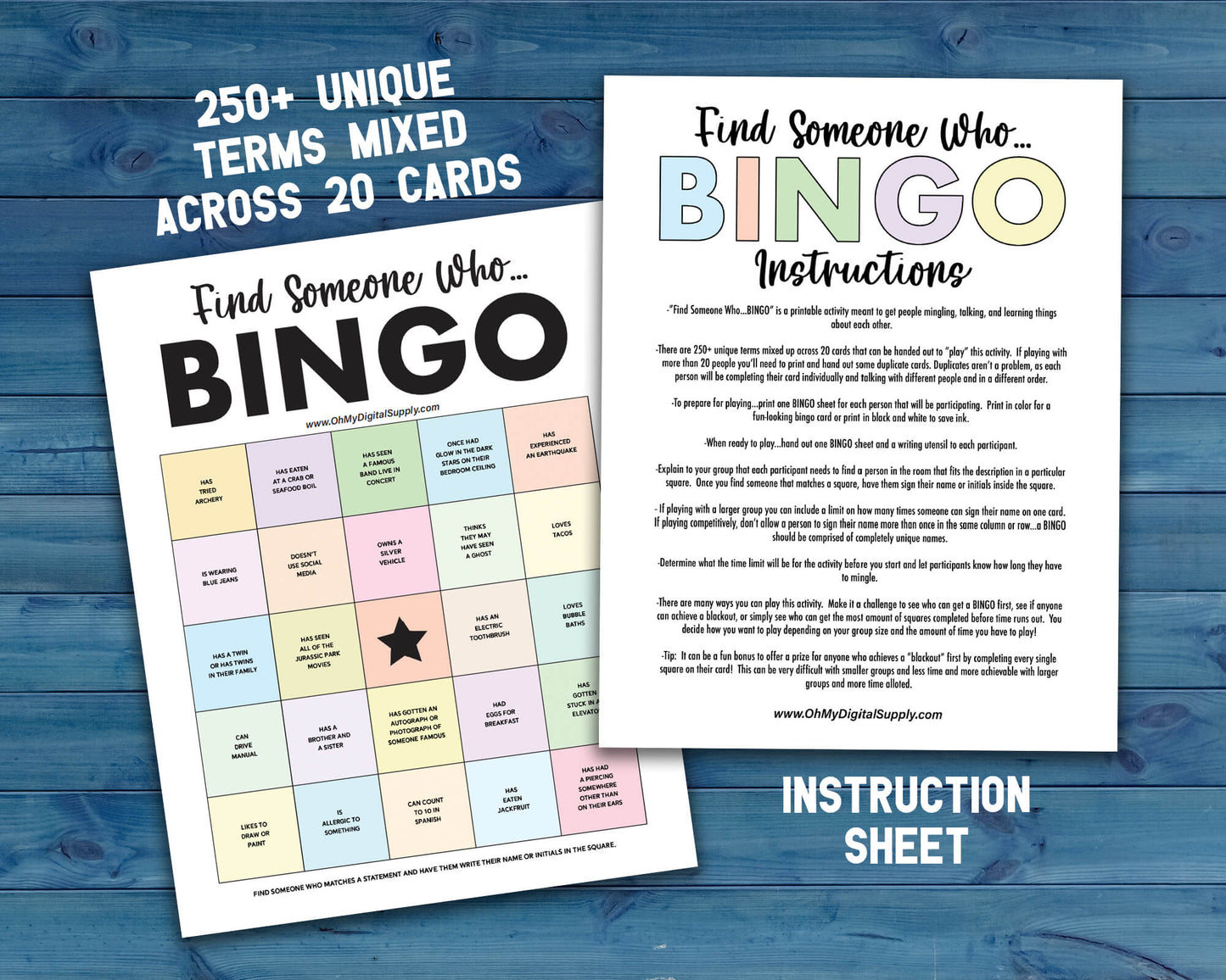 Find Someone BINGO Printable Group Icebreaker Activity, Human BINGO Get to Know You Challenge