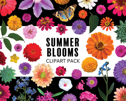 Summer Blooms Clipart Pack with Real Flower PNG Graphics for Commercial Use