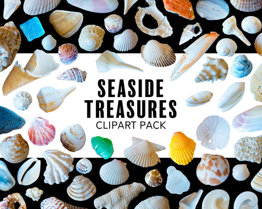 Seaside Treasures Clipart Pack with Real Seashell PNG Graphics for Commercial Use