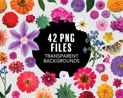 Summer Blooms Clipart Pack with Real Flower PNG Graphics for Commercial Use